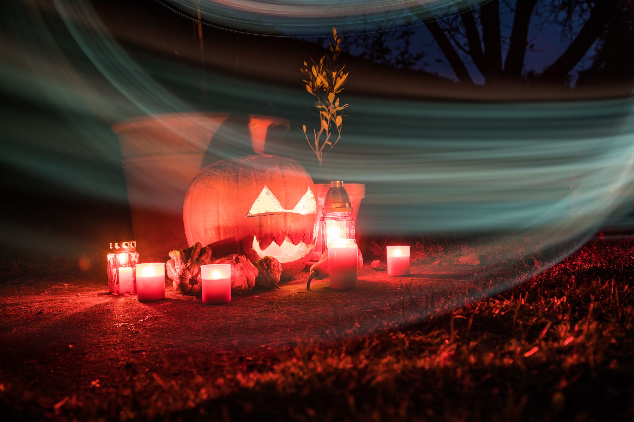 Damit der Kürbis auch noch an Halloween schaurig schön aussieht, gibt es beim Aushöhlen und Schnitzen einiges zu beachten.