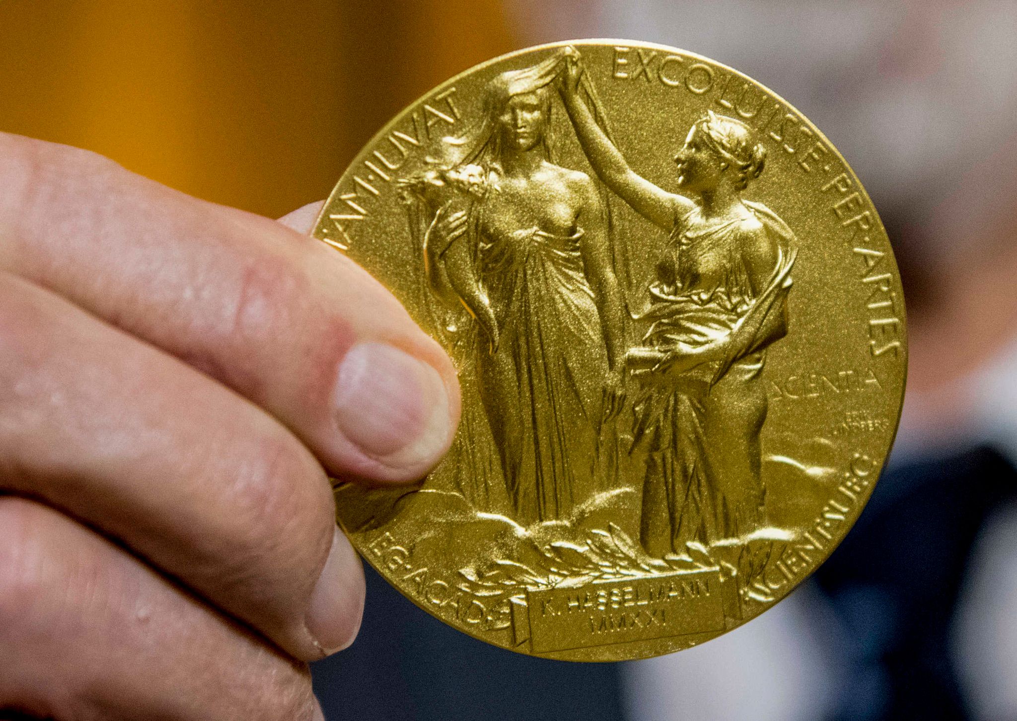 Die Rückseite der Nobel-Medaille für Chemie stellt die Natur in Form einer Göttin dar, die aus den Wolken auftaucht und ein Füllhorn hält. Der Schleier, der ihr Gesicht bedeckt, wird vom Genie der Wissenschaft hochgehalten. (Archivbild)