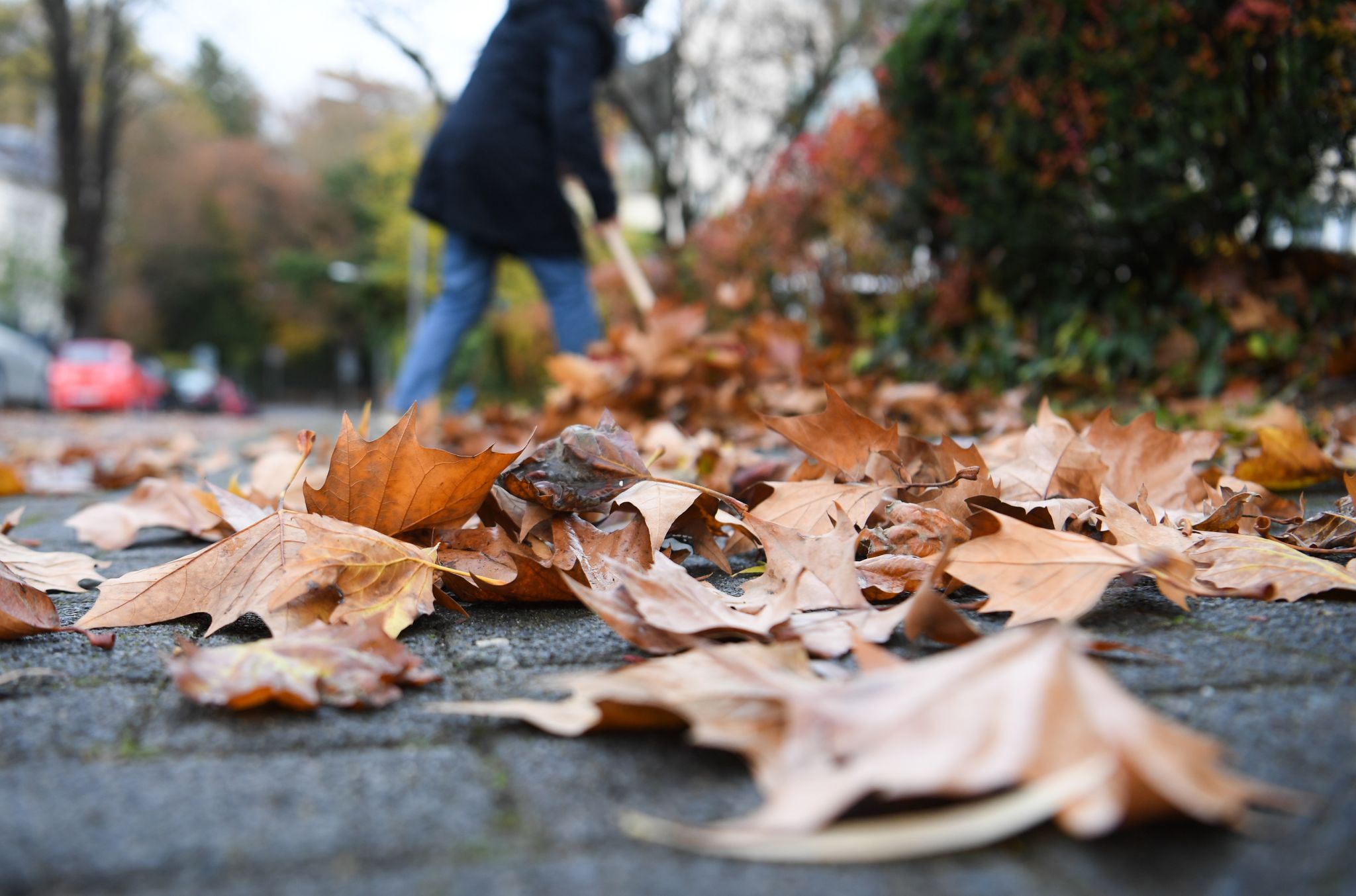 Weg mit den Blättern: Wer für solche Arbeiten rund ums Haus einen Dienstleister beauftragt, kann steuerlich profitieren.