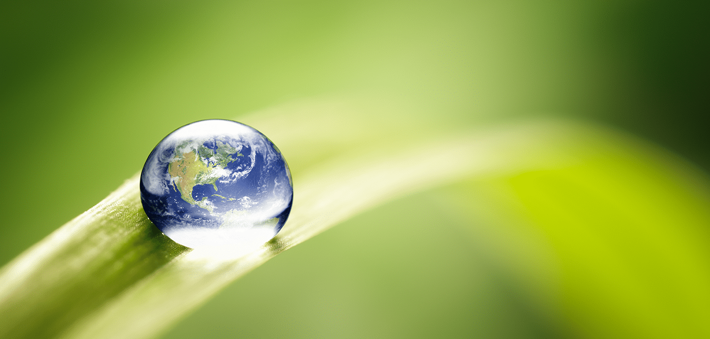 Foto: Thomas Vogel / iStock Regentropfen mit der Welt auf einem grünen Halm