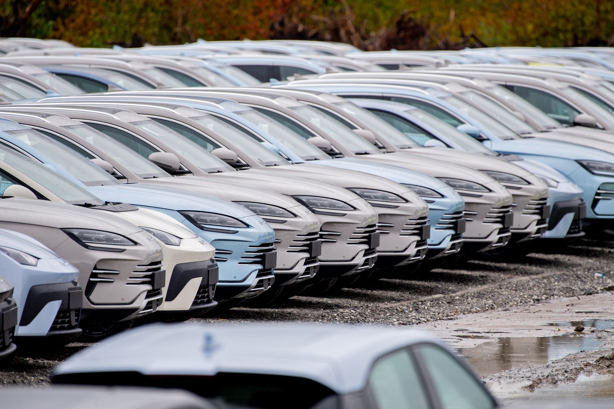 Der chinesische E-Auto-Hersteller BYD konnte seinen Absatz in Deutschland im Oktober erneut steigern. (Archivbild)