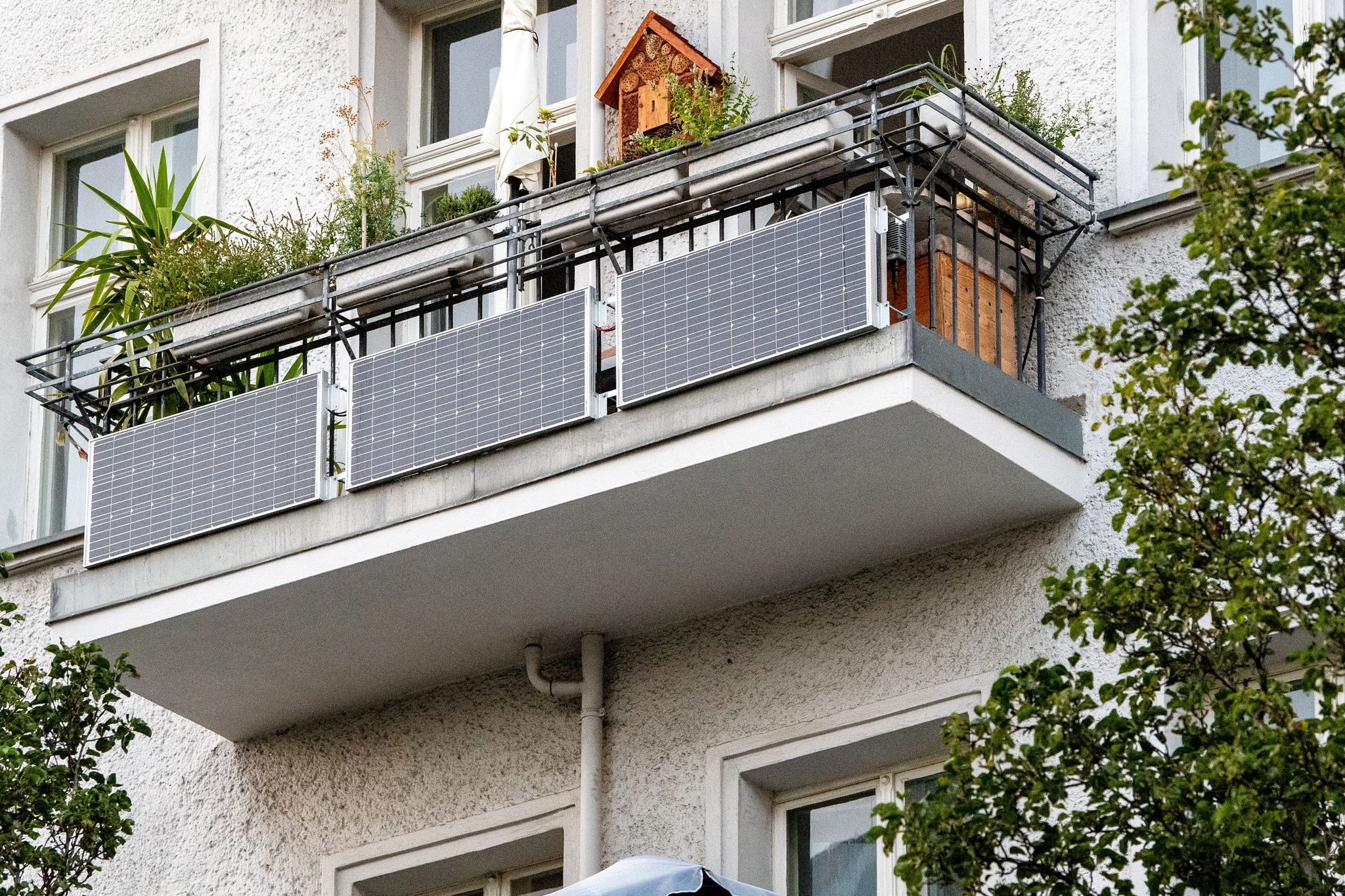 Foto: Bernd Diekjobst/dpa-tmn