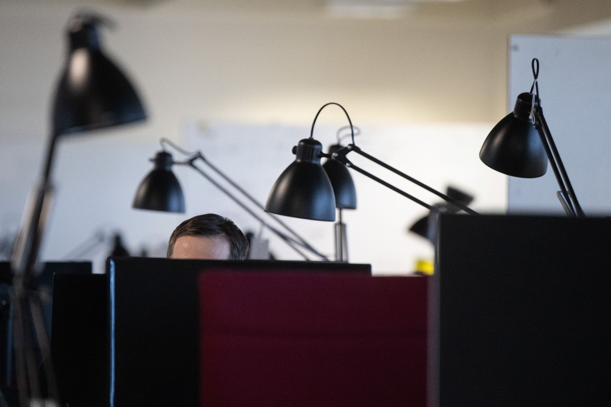 Foto: Sebastian Gollnow/dpa/dpa-tmn