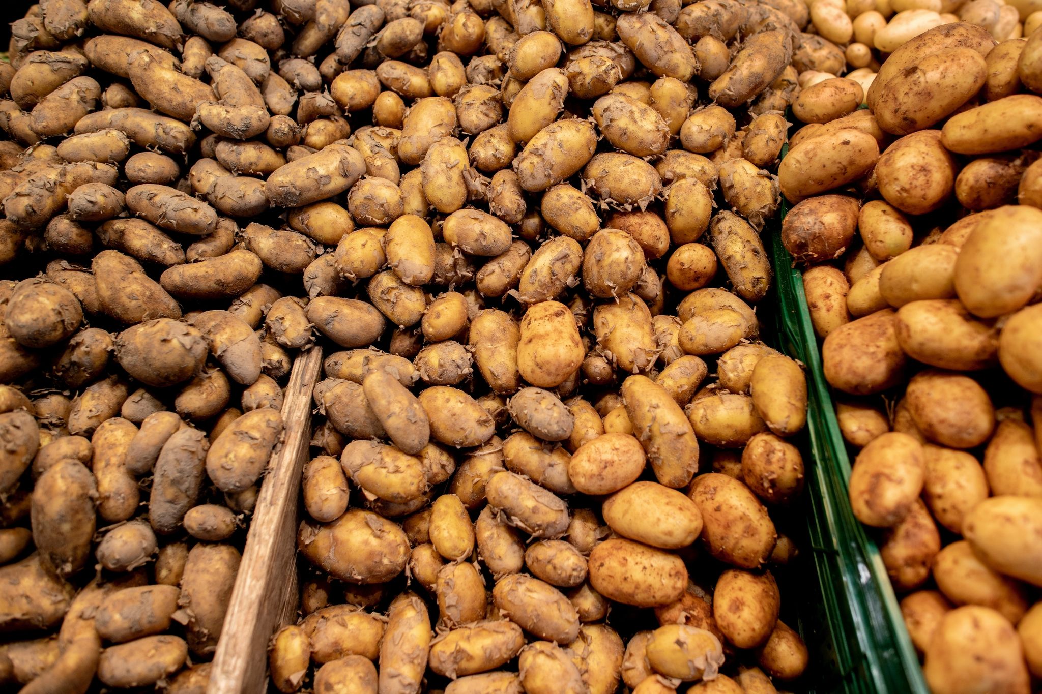 Allgemein ist das Angebot an Frühkartoffeln in diesem Jahr eher knapp.