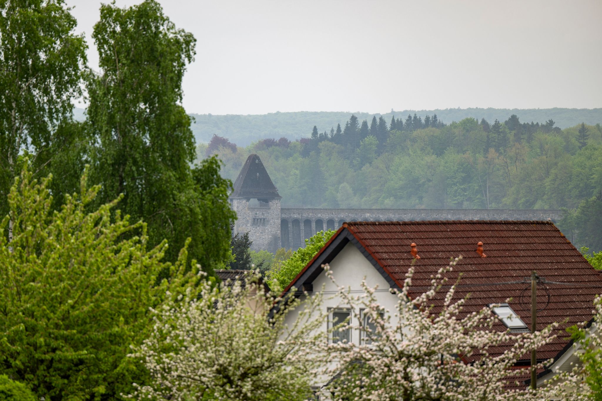 Foto: David Inderlied/dpa/dpa-tmn