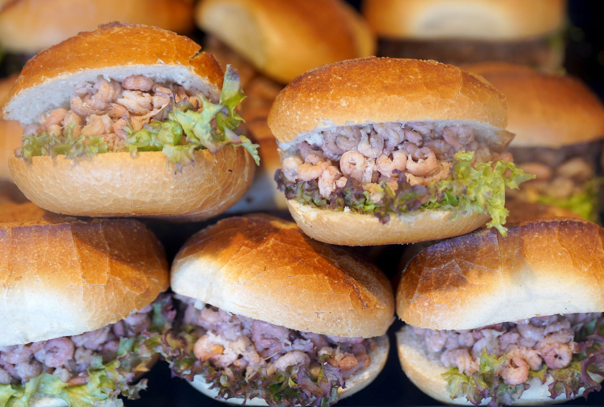 Brötchen mit Nordseekrabben in der Auslage eines Fischbrötchen-Imbisses an den Hamburger Landungsbrücken.